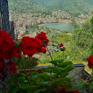 Villa Sunrise, Rapallo